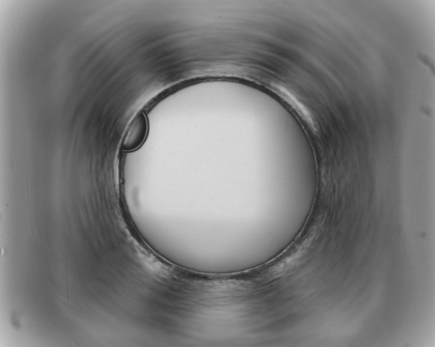 X0000091530988200708170946