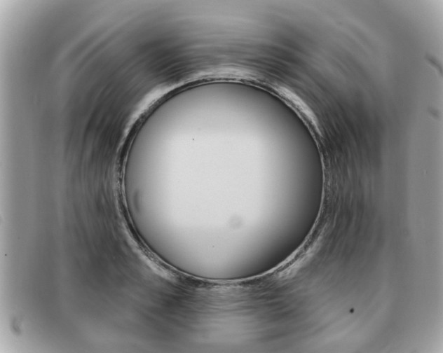 X0000091530989200708170946