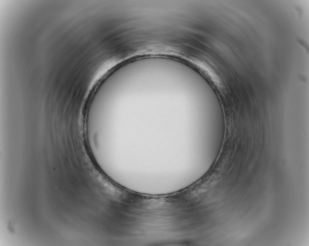 X0000091530990200708170946