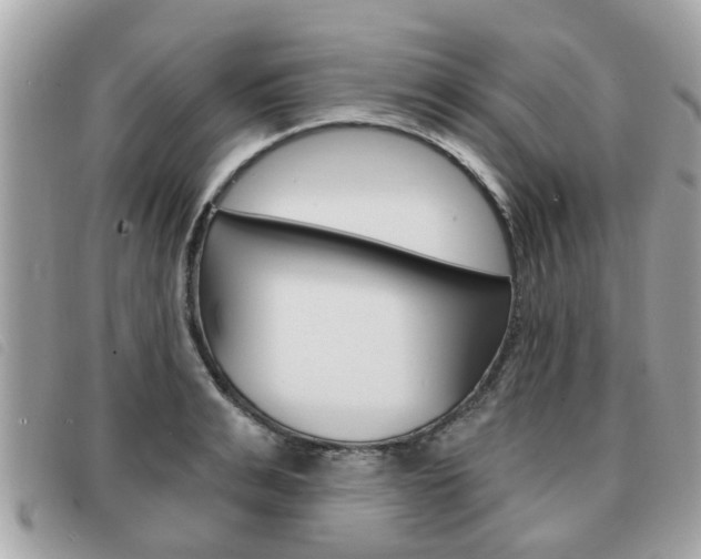 X0000091530991200708170946