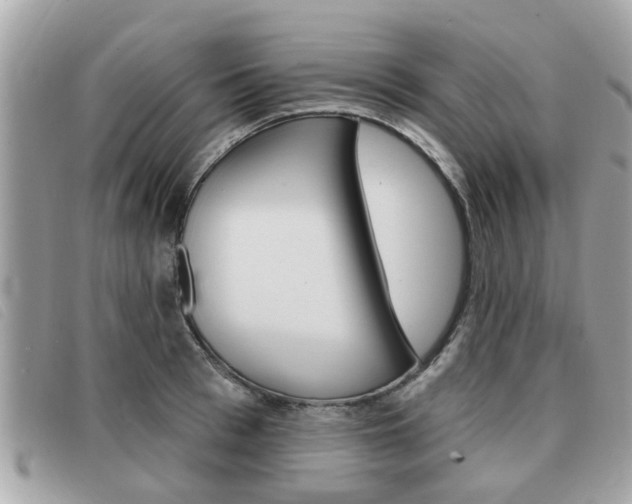 X0000091530993200708170946