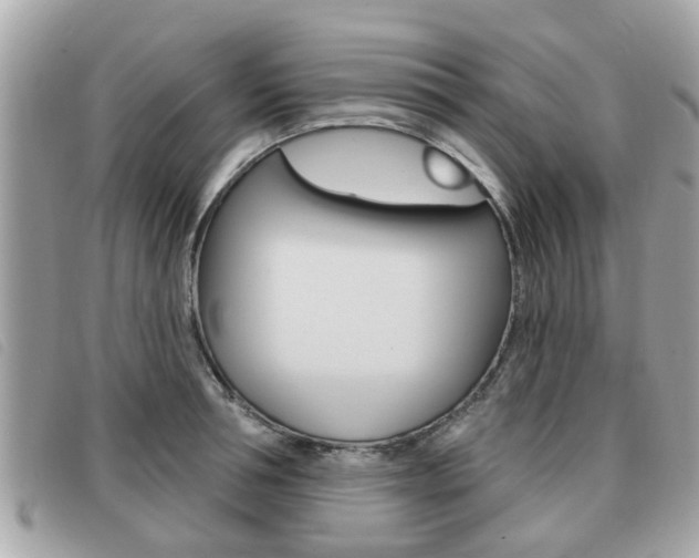 X0000091530994200708170946