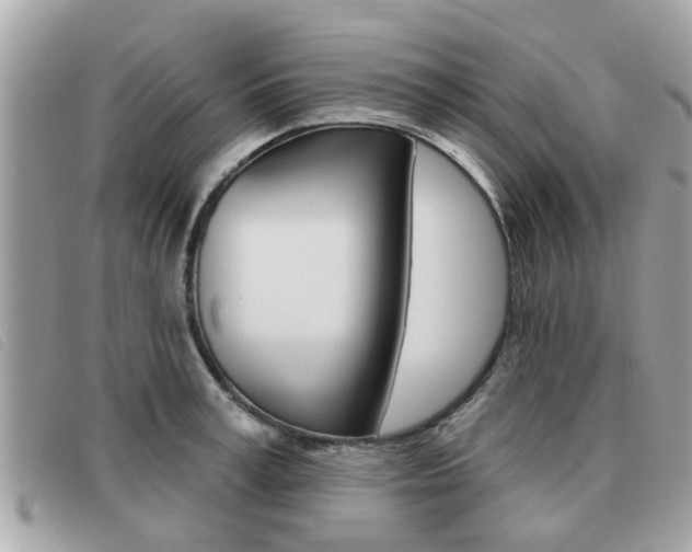 X0000091530995200708170946