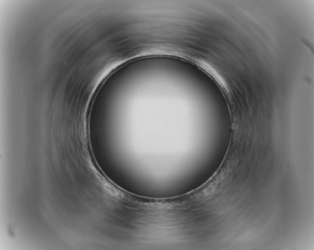 X0000091530996200708170946