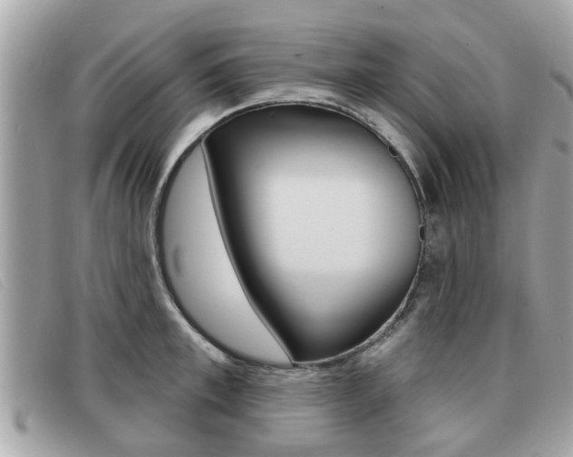 X0000091530997200708170946
