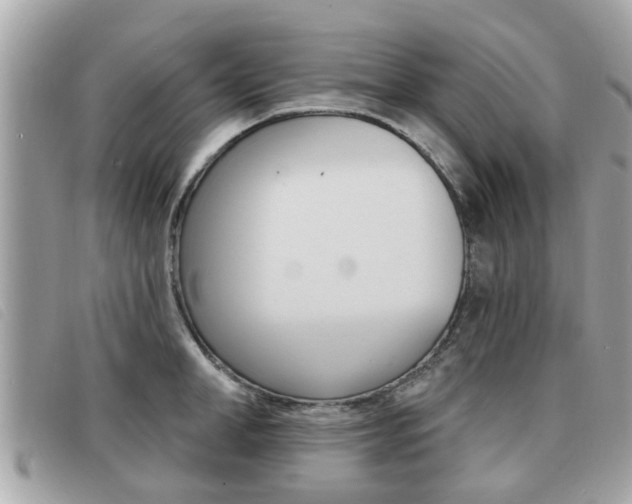 X0000091530998200708170946