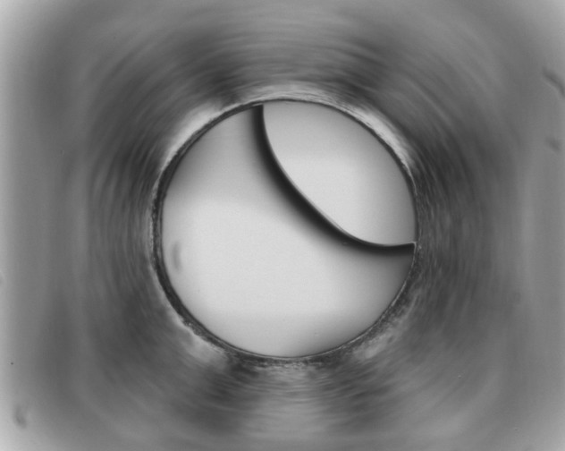 X0000091530999200708170946
