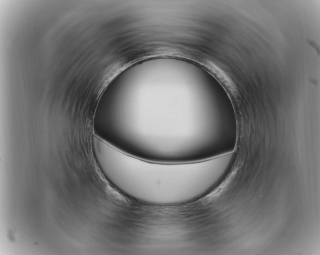 X0000091531001200708170946