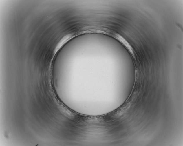 X0000091531002200708170946