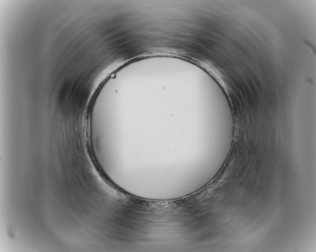 X0000091531003200708170946