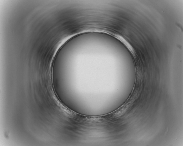 X0000091531004200708170946