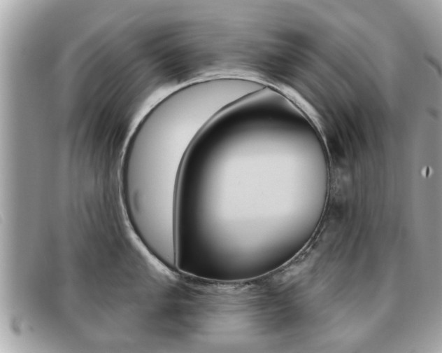 X0000091531005200708170946