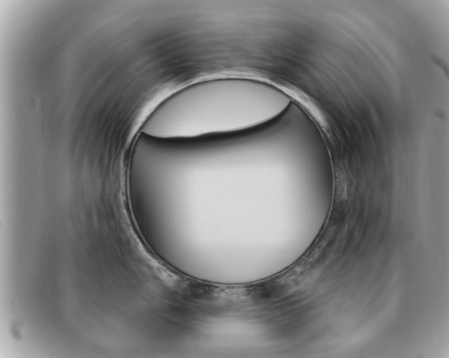 X0000091531006200708170946