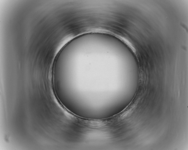 X0000091531007200708170946