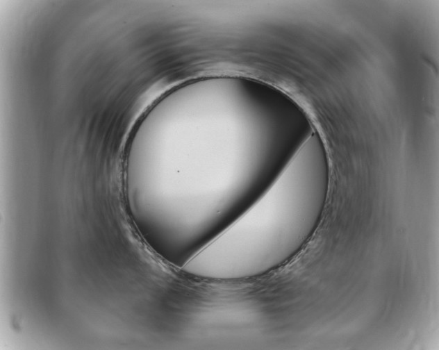 X0000091531008200708170946