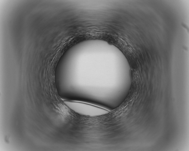 X0000091531009200708170945