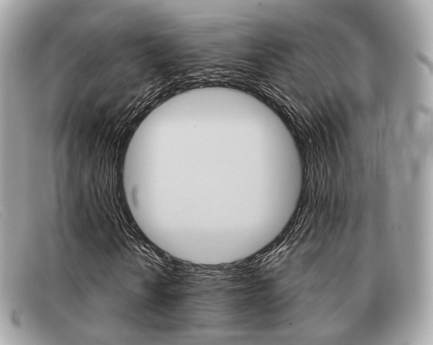 X0000091531010200708170945
