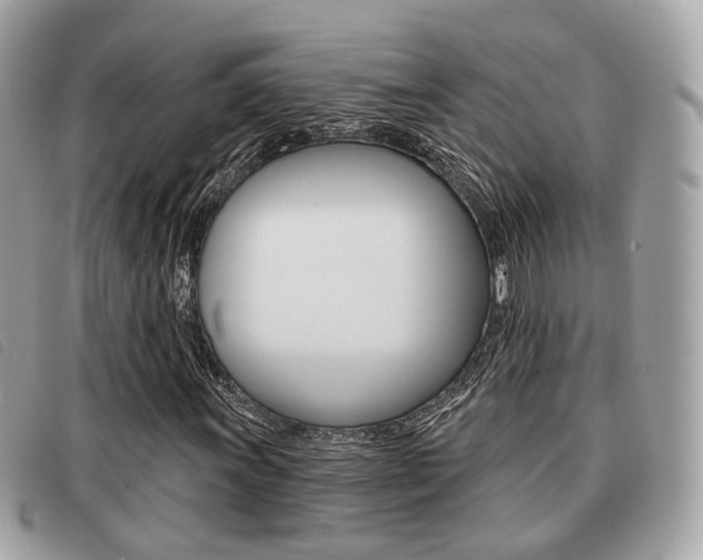 X0000091531011200708170945