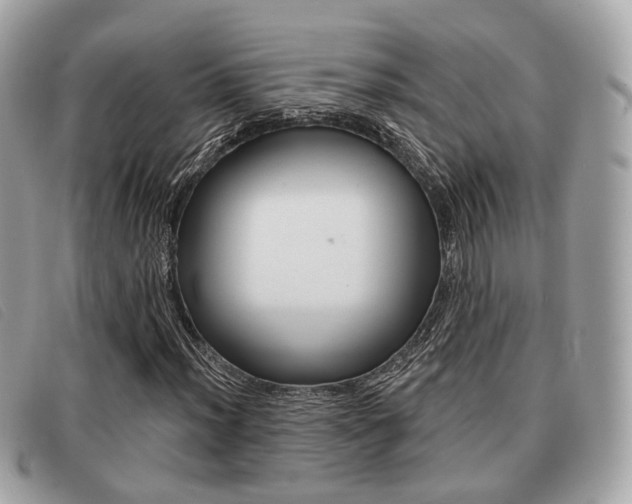 X0000091531012200708170946