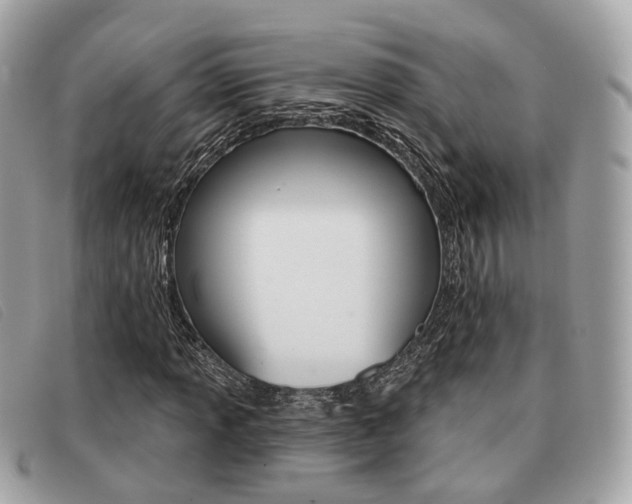 X0000091531013200708170946