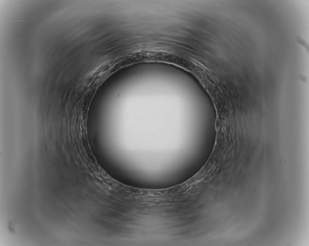 X0000091531014200708170946