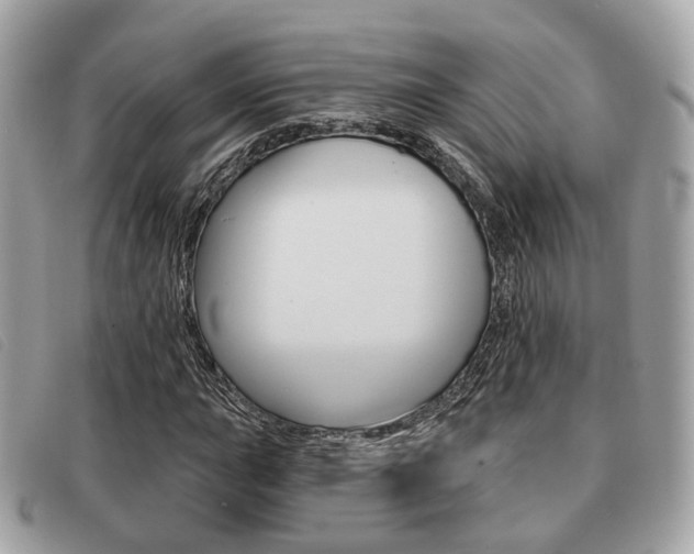 X0000091531015200708170946