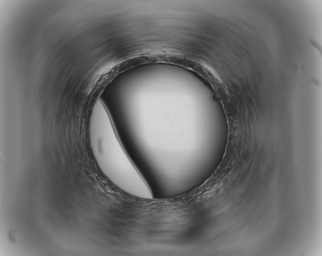 X0000091531016200708170946