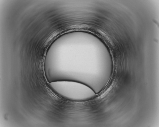 X0000091531017200708170946