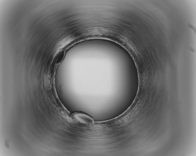 X0000091531018200708170946