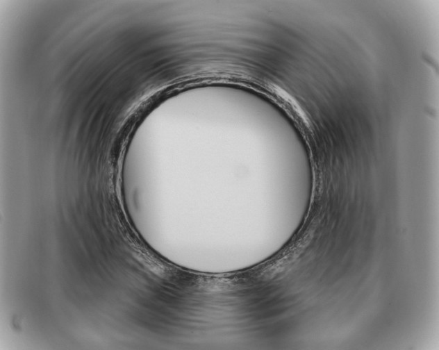 X0000091531019200708170946