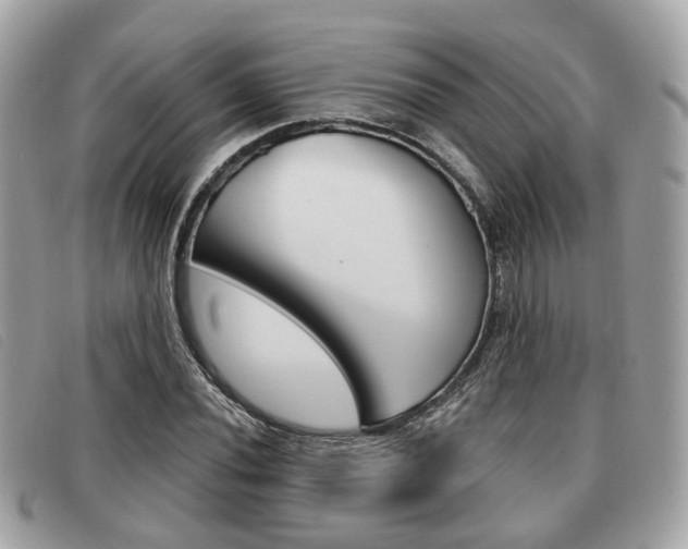 X0000091531020200708170946