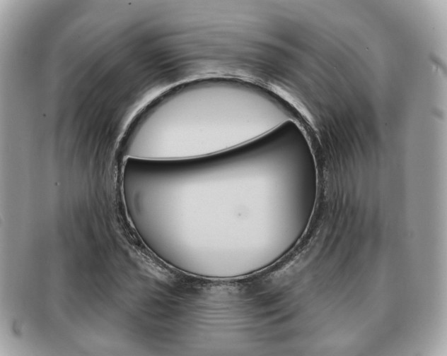 X0000091531021200708170946