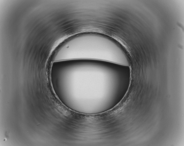 X0000091531022200708170946