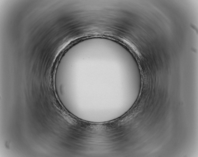 X0000091531023200708170946