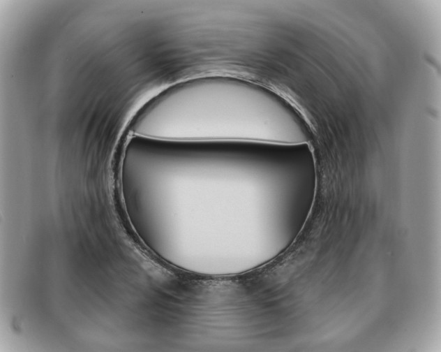 X0000091531024200708170946