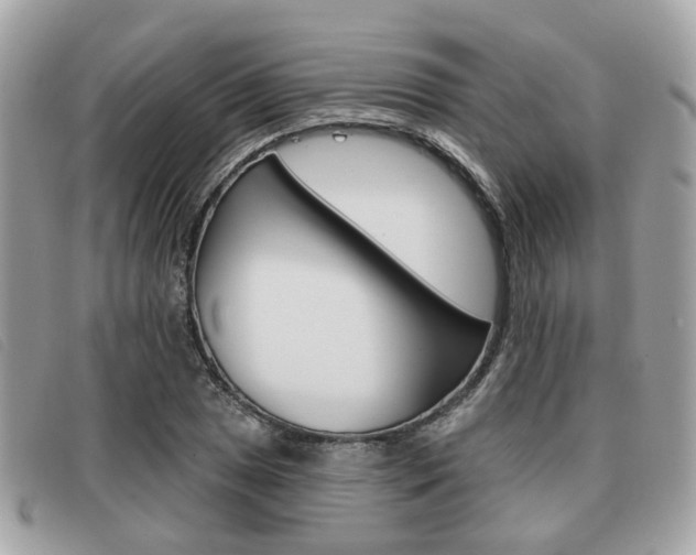 X0000091531025200708170946