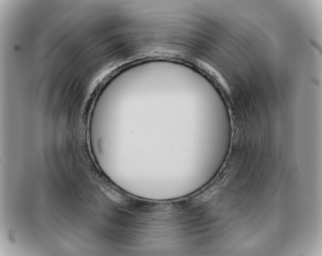 X0000091531027200708170946