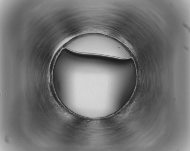 X0000091531028200708170946