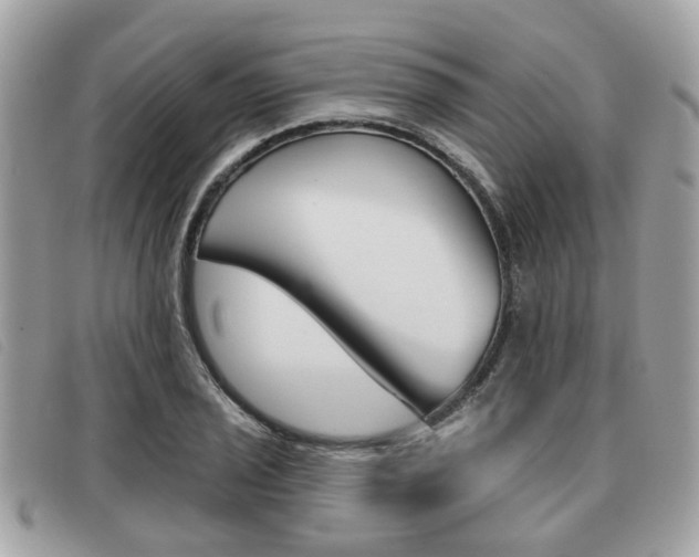 X0000091531029200708170946