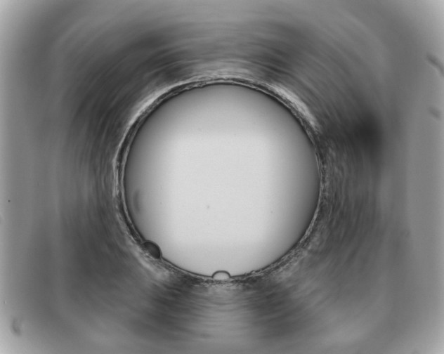 X0000091531031200708170946