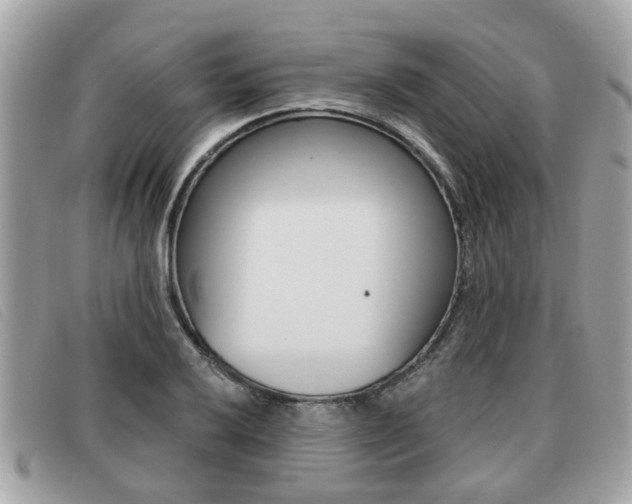 X0000091531032200708170946