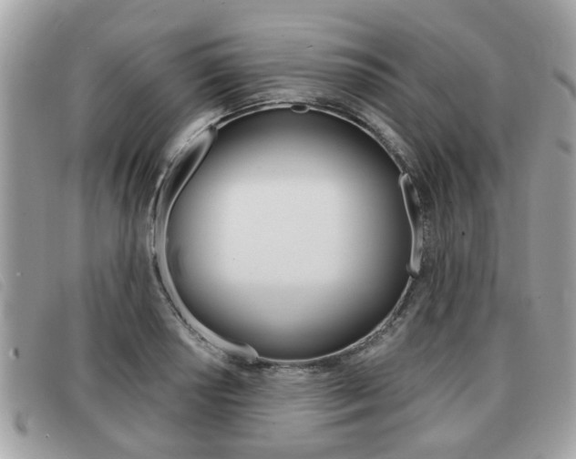 X0000091531034200708170946