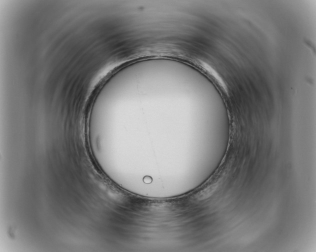 X0000091531035200708170946