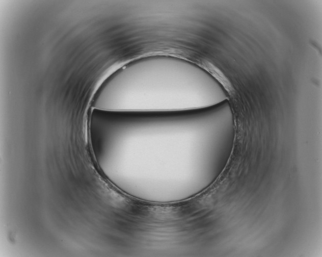 X0000091531036200708170946