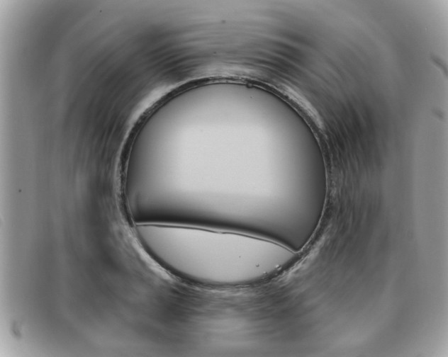 X0000091531037200708170946