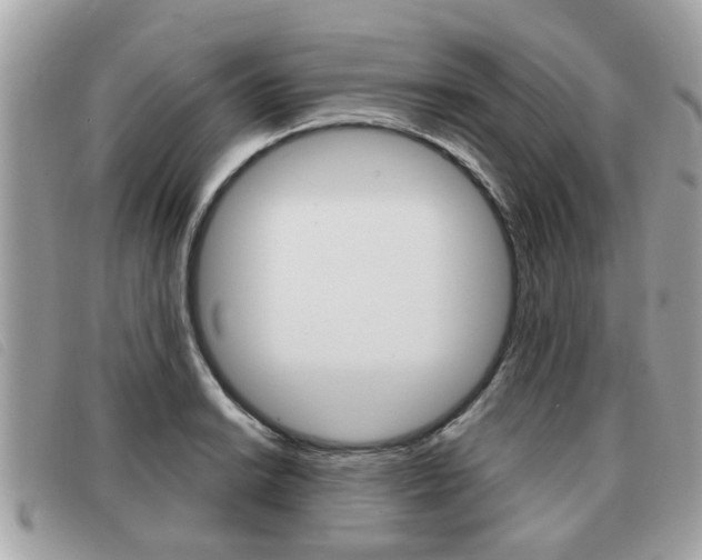 X0000091531038200708170946