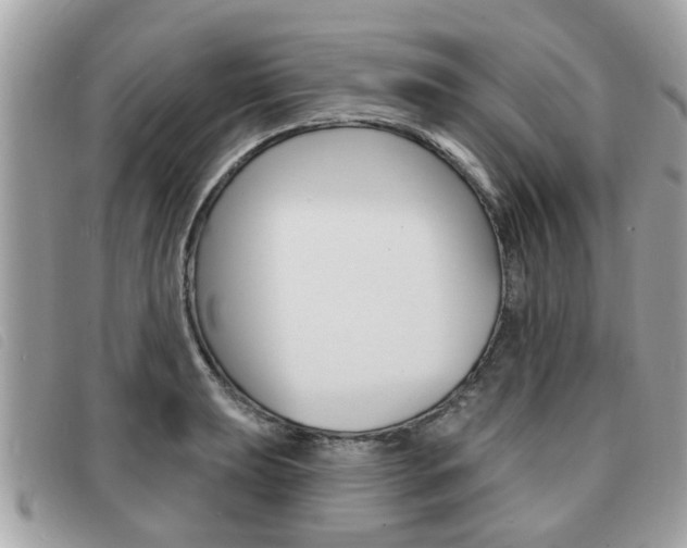 X0000091531039200708170946