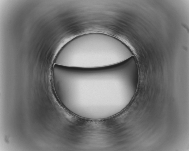X0000091531040200708170946