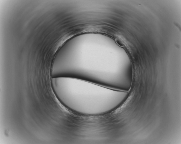X0000091531041200708170946