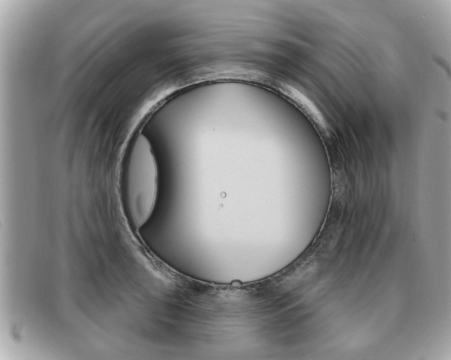 X0000091531043200708170946